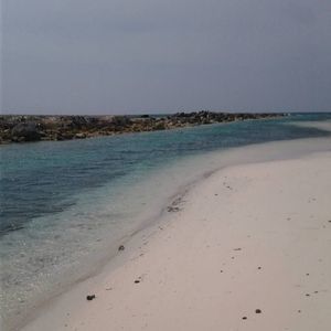 Meet your Posher, Dwayne